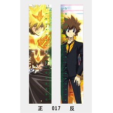 17cm reborn anime ruler(10pcs)