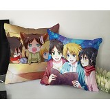 Attack on Titan anime double sides pillow(35X35)BZ010