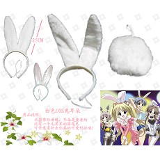 white COS rabbit ears