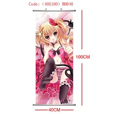 Anime wallscrolls