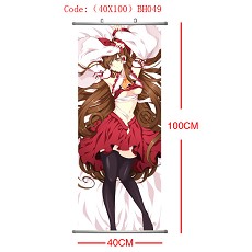 Anime wallscrolls