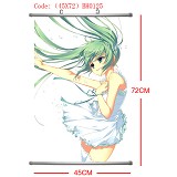 Anime wallscrolls