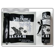 Bleach pen bag