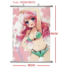 Anime wallscrolls