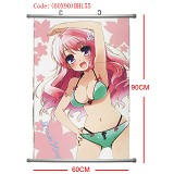 Anime wallscrolls