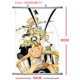 One piece wallscrolls