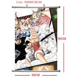 One piece wallscrolls