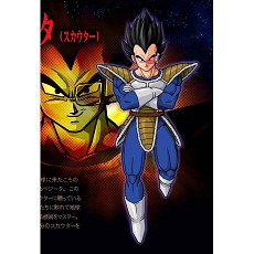 Dragon Ball Anime Cosplay:The 1st Vegeta Suit(6 a set)