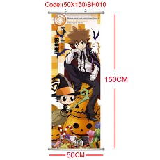 Reborn anime wallscrolls