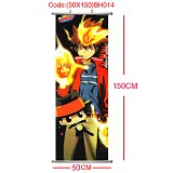 Reborn anime wallscrolls