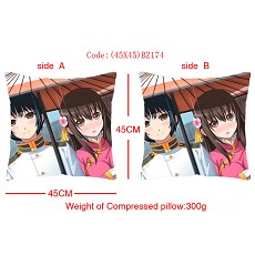 Axis Powers Hetalia anime double face pillow