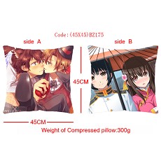 Axis Powers Hetalia anime double face pillow