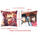 Axis Powers Hetalia anime double face pillow