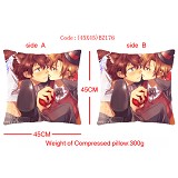 Axis Powers Hetalia anime double face pillow