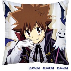 Reborn anime pillow