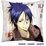 Reborn anime pillow