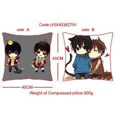Tomb notes anime double sides pillow(45X45)