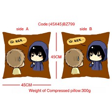 Tomb notes anime double sides pillow(45X45)