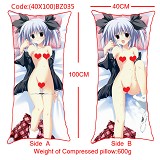 The sexy girl anime double sides pillow(40X100)