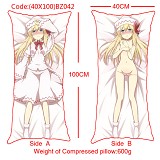 The sexy girl anime double sides pillow(40X100)