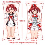 The sexy girl anime double sides pillow(40X100)