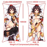 The sexy girl anime double sides pillow(40X100)