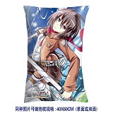 Attack on Titan anime double side pillow(40X60CM)2...