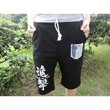 Attack on Titan anime Middle pants