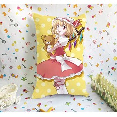 Touhou Project anime double sides pillow(40X60)BZ006