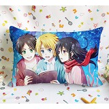 Attack on Titan anime double sides pillow(40X60)BZ...