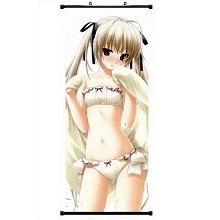 The anime wall scroll 40*102CM