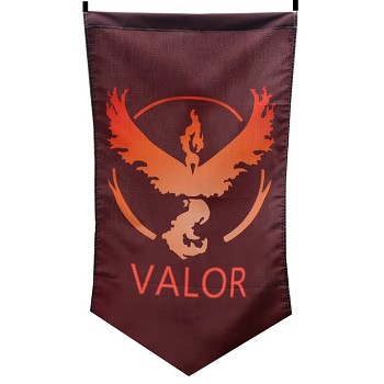 Pokemon go VALOR cos flag