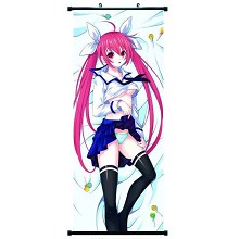 Date A Live long wallscroll 40*102CM