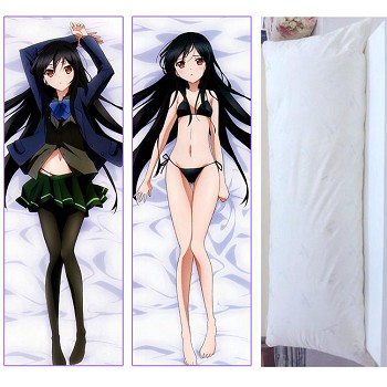 Accel World two-sided pillow