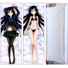 Accel World two-sided pillow