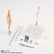 Female body model constitution figure