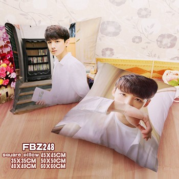  Star Baijingting two-sided pillow 