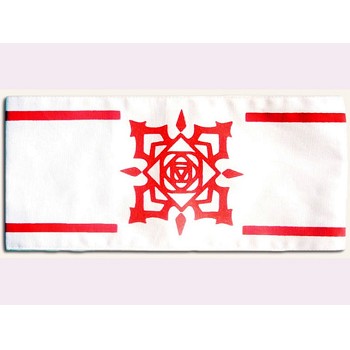 Vampire Knight cos sleeve emblem armband