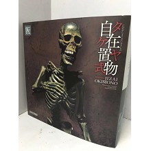 The bones figure