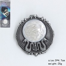 Harry Potter brooch pin