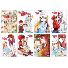 Hataraku Saibou Cells At Work posters set(8pcs a s...