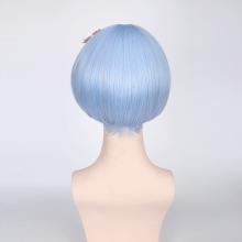 Re:Life in a different world from zero Rem cosplay wig a set