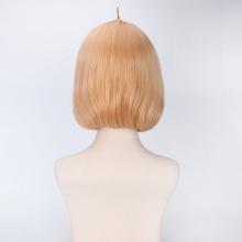 Kyokai no kanata cosplay wig