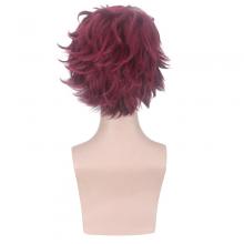 Demon Slayer cosplay wig