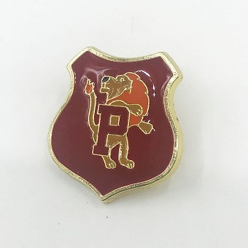 Harry Potter brooch pin