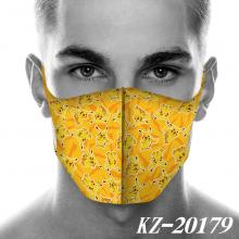 KZ-20179