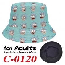 C-0120