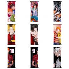 Haikyuu anime wall scroll wallscrolls 40*102CM