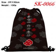 SK-0066