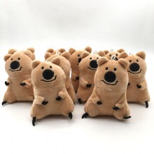 4inches Koala plush dolls set(10pcs a set)